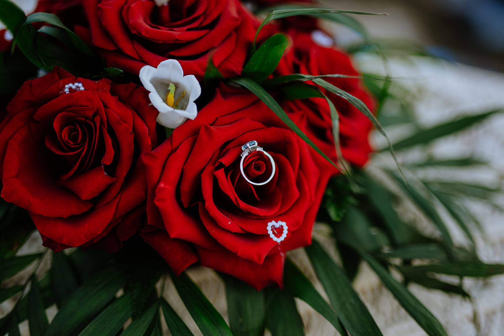 Sea-view luxury villa