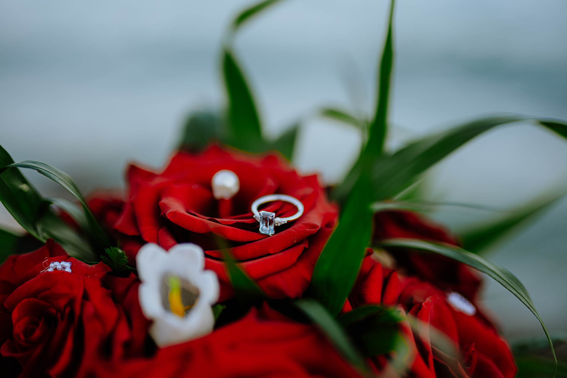 Предложение за годеж 11